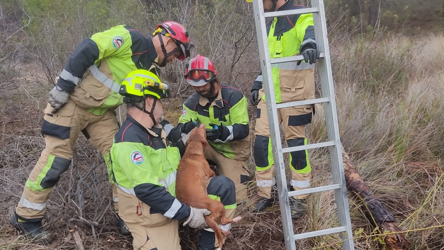 Rescatan a un perro de un pozo de 5 metros de profundidad cerca de Villablanca