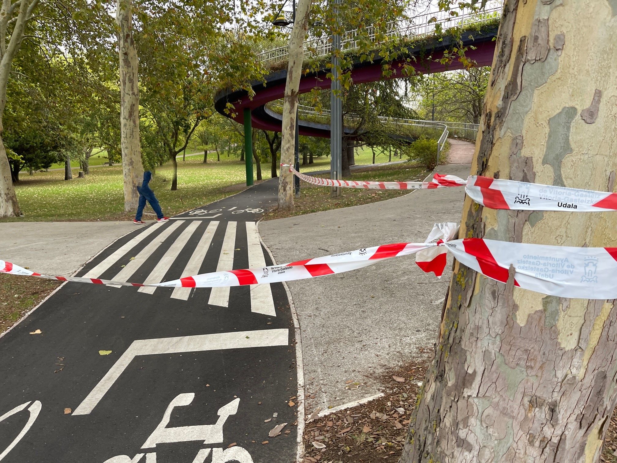 Vitoria cierra parques por el viento