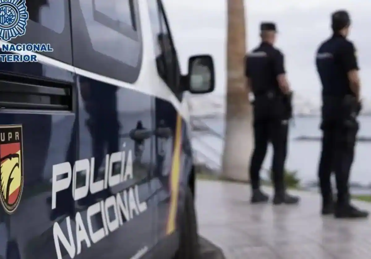 Seis detenidos en Málaga y Marbella tras caer una banda que introducía cocaína desde Sudamérica