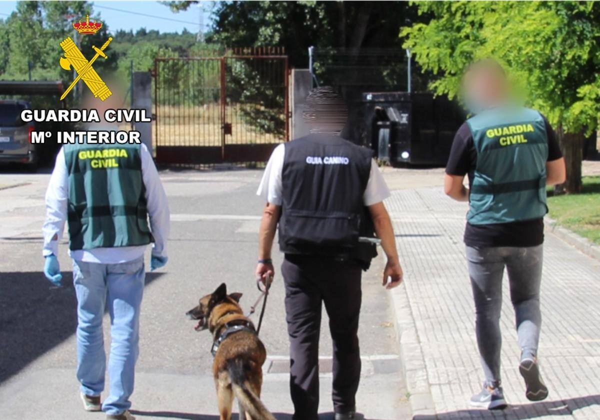 Sucesos en Burgos: Desarticulado un punto de venta de droga en la cárcel de Burgos