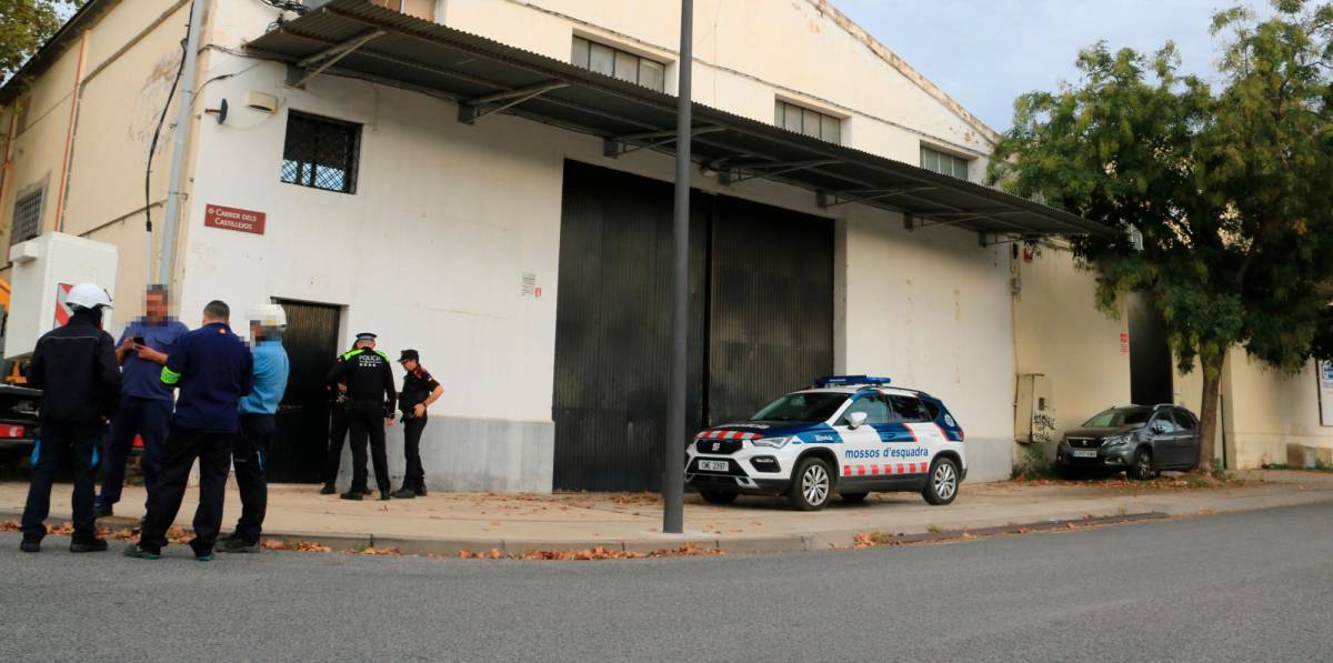 Desmantelan plantación de marihuana en Reus: Detenidos dos hombres por tráfico de drogas y defraudación eléctrica