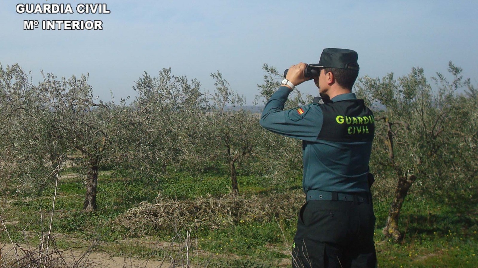 Detenida una persona por el robo con fuerza de bovinas de cobre en Almonte