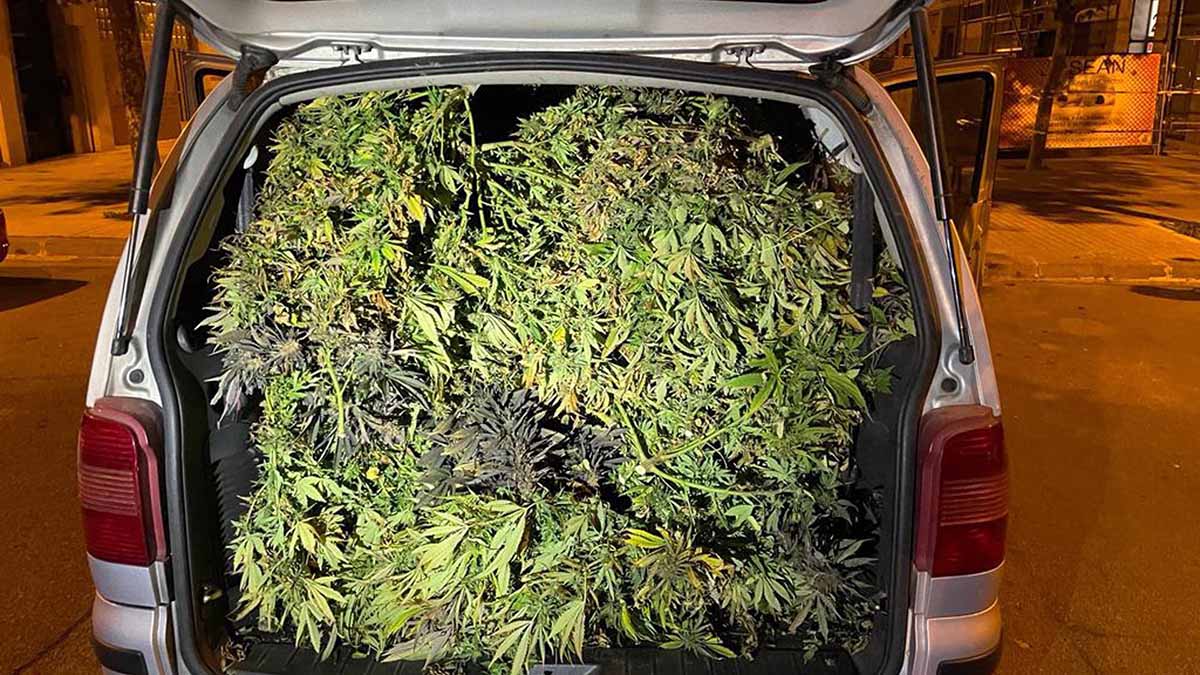 Coches cargados hasta los topes de droga en Pamplona: hay dos traficantes detenidos