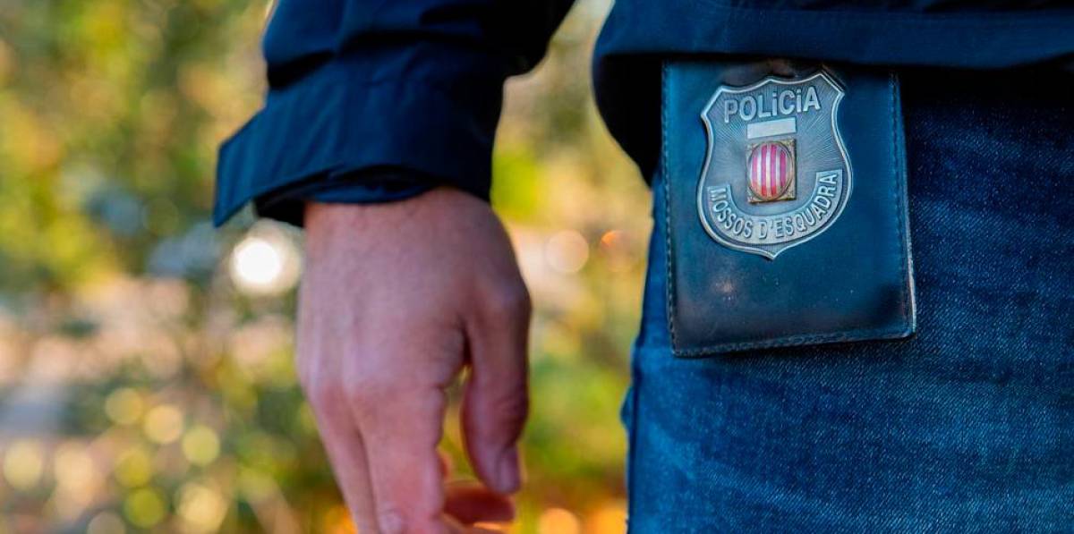 Desmantelado un gran cultivo de marihuana en Segur de Calafell