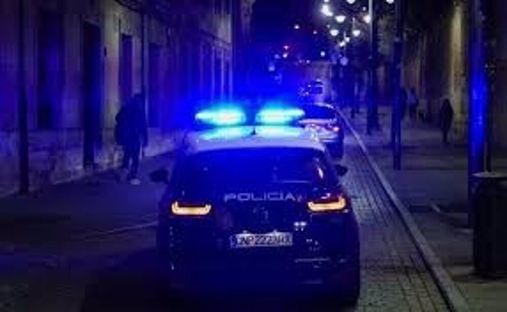 Detenido tras robar en una tienda y agredir a agentes