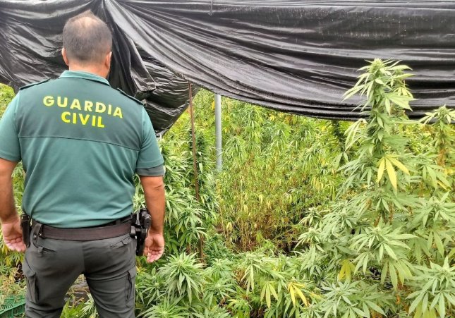 Sin policías antidroga en Mérida, detenidos por narcotráfico: mejores memes