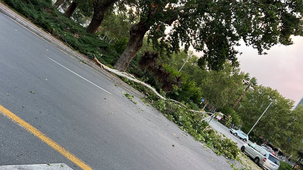 Fotos: as&iacute; est&aacute; siendo el fuerte viento de la borrasca Bernard en Granada