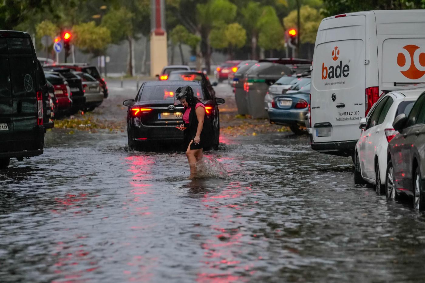 Aline inunda parte de la ciudad y se ceba con los árboles