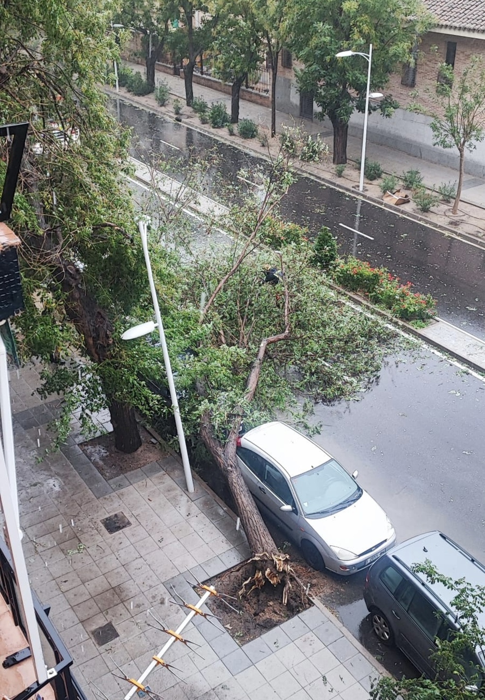 Susto en la avenida de Barber.