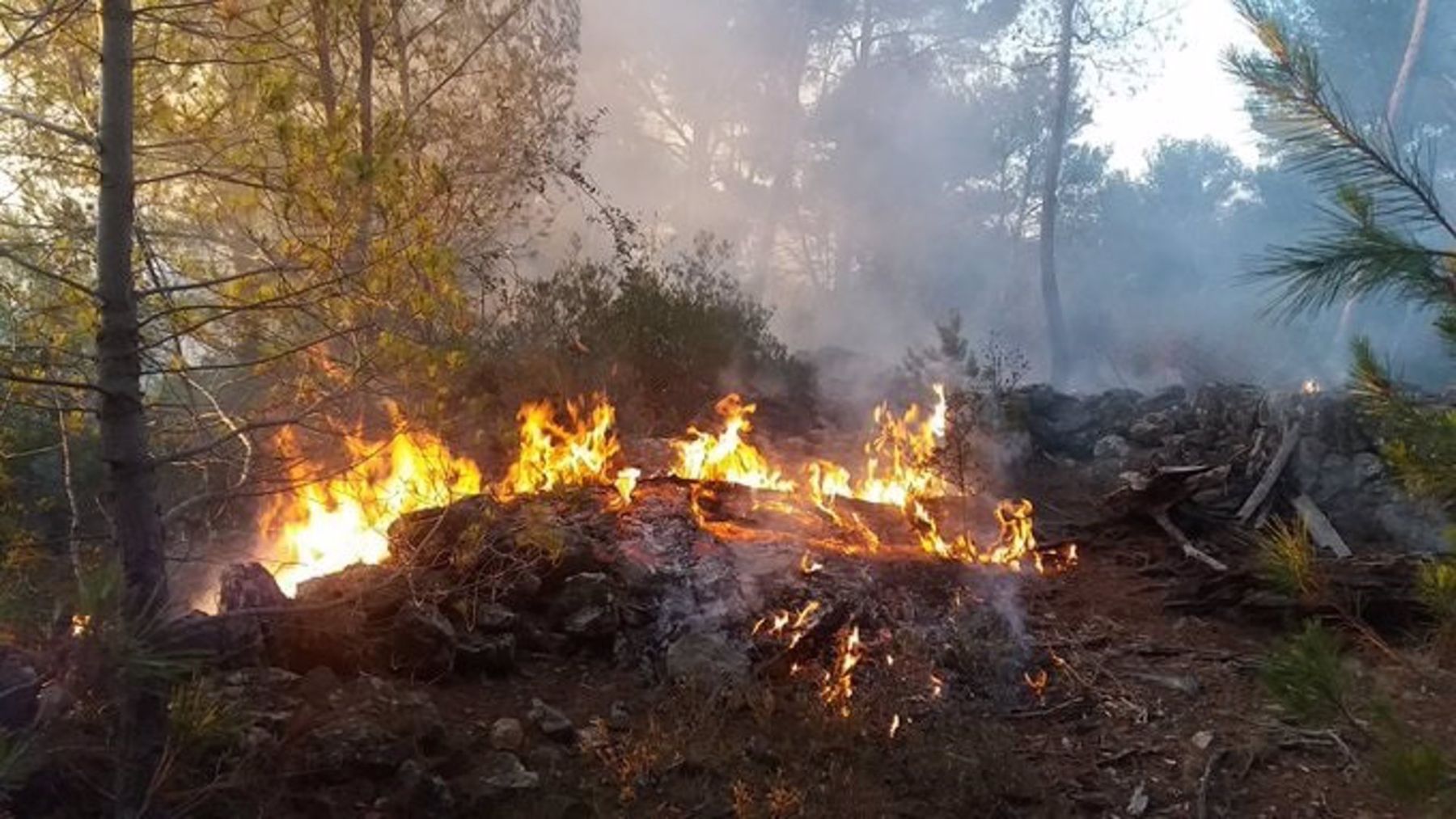 En busca y captura un alemán acusado de provocar varios incendios en Esporles al no presentarse al juicio