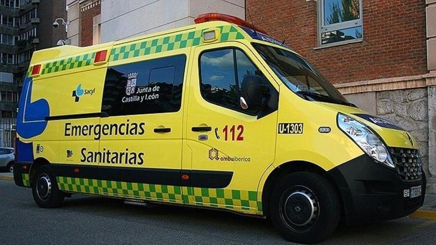 Joven de 27 años muere tras ataque de perros en Zamora