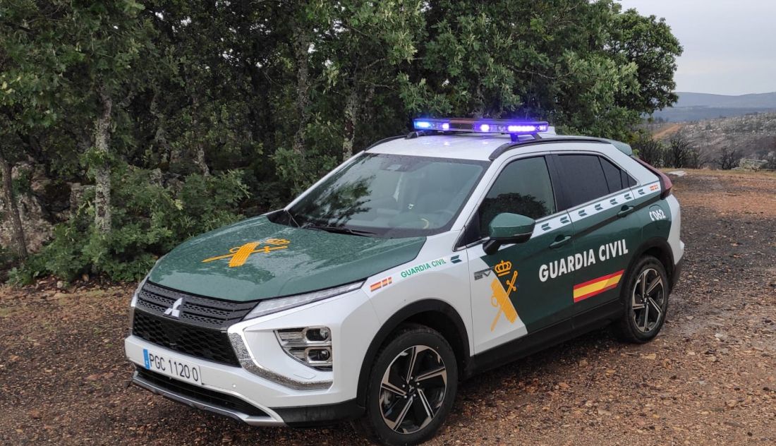 Identificado el dueño y controlados los cinco perros que provocaron la muerte de una joven de Roales del Pan
