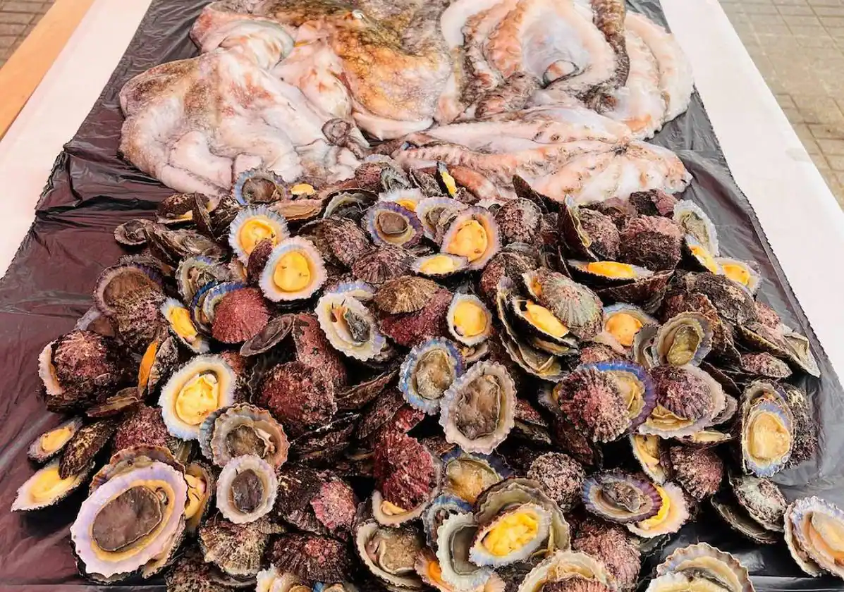 Intervienen más de 10 kilos de pulpos y lapas de talla y peso inferior a la reglamentaria