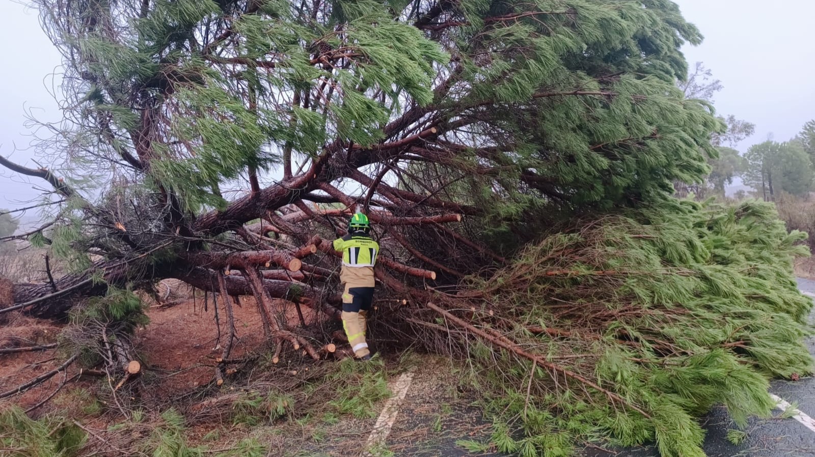 Vídeo: los bomberos tienen que actuar en diversos municipios por incidencias tras el temporal