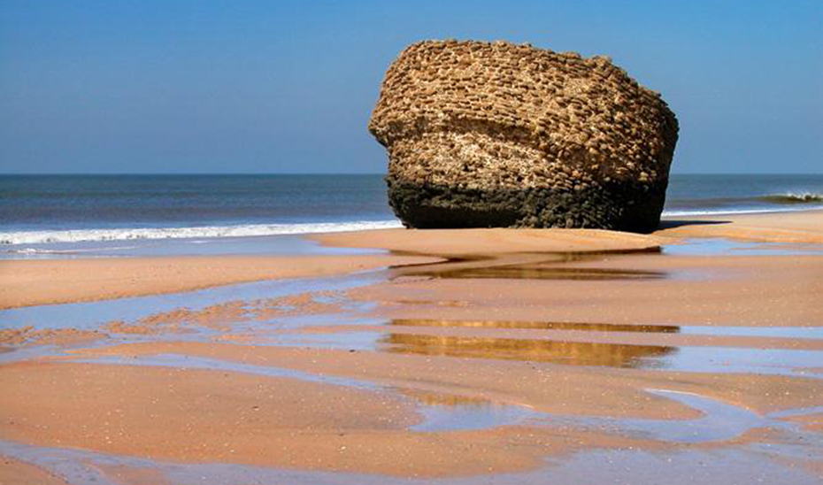 Trágico suceso en Matalascañas: Mujer muere ahogada en la playa mientras recibía RCP