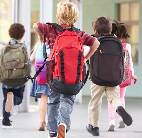 Álava: Sin riesgo, las larvas en la comida de un colegio