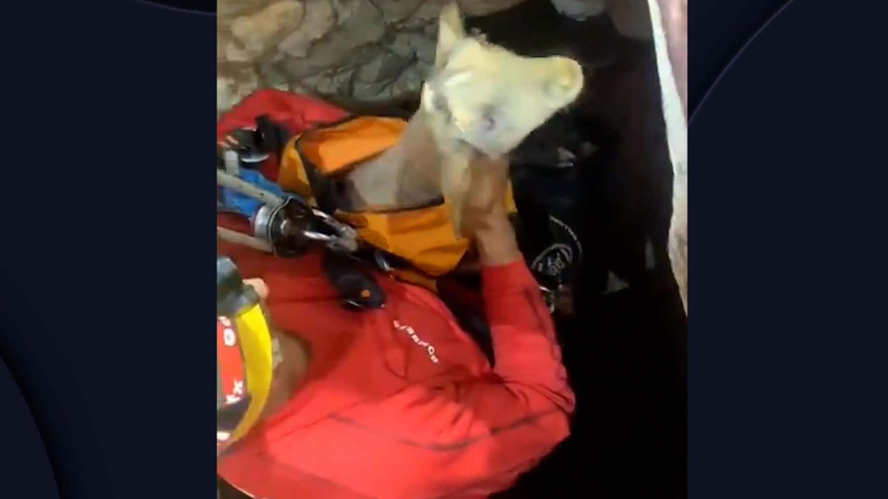 Bomberos de Mallorca rescatan a un cordero atrapado en un pozo de 15 metros de altura