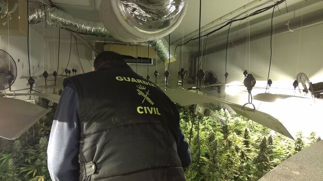 Veintitrés investigados en 13 localidades de la provincia de Granada en una gran operación contra el tráfico de drogas