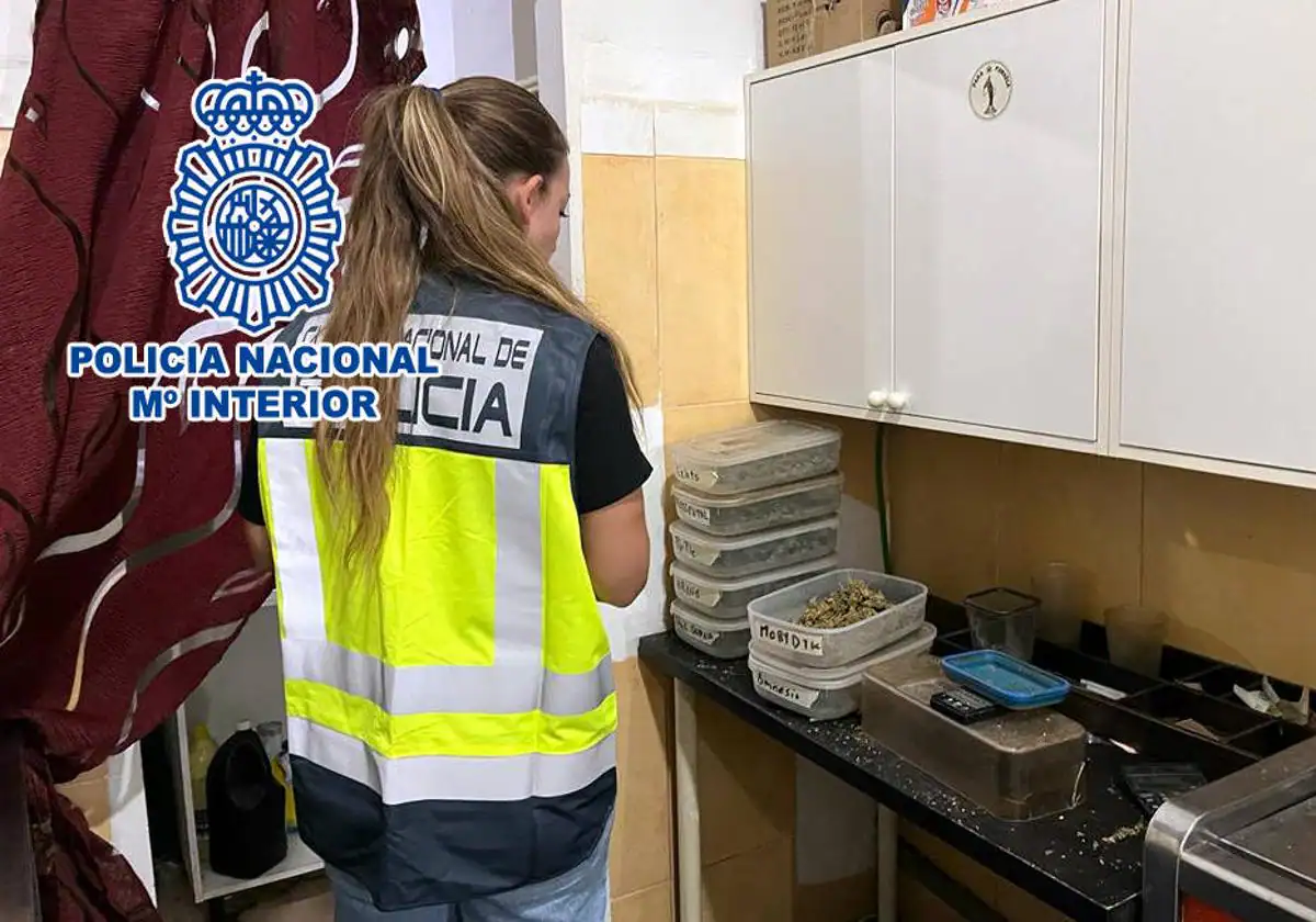 Desmantelada asociación ilegal de consumo de drogas en Dénia, siete personas detenidas