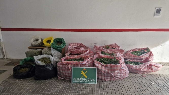 Droga incautada en Almuñécar