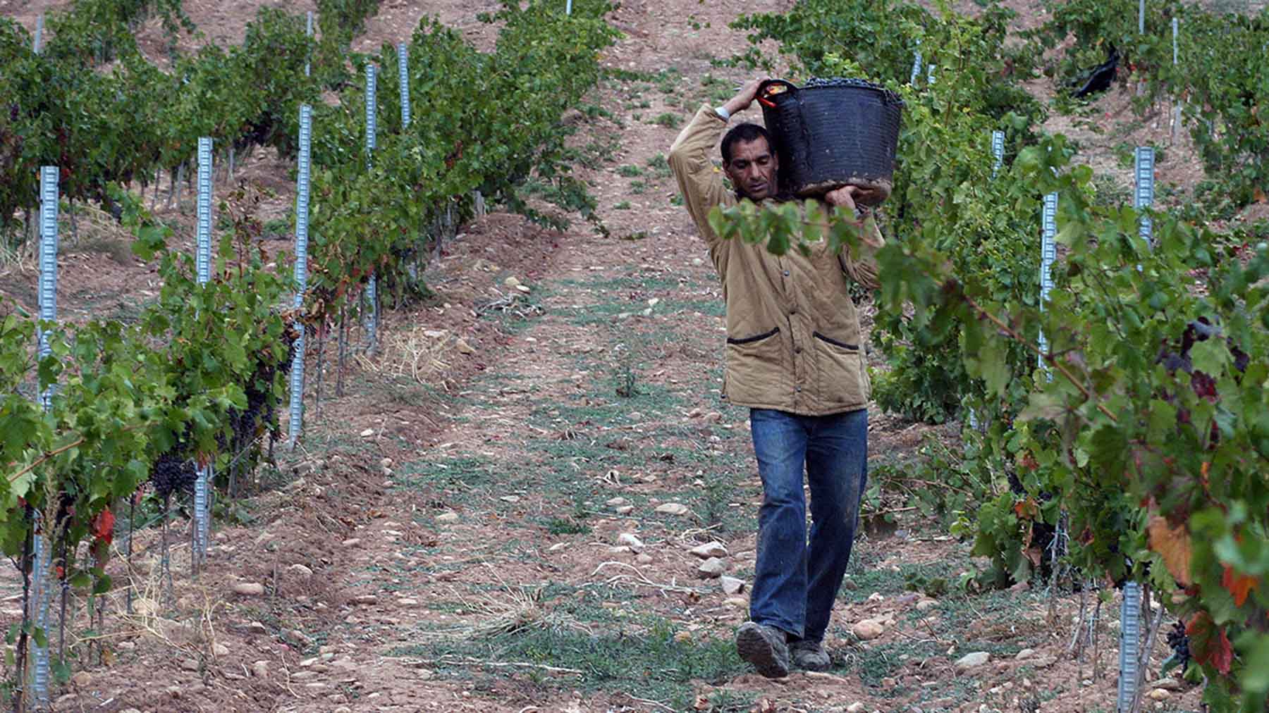 Detenidos varios empresarios del campo en Navarra que mantenían trabajadores como esclavos
