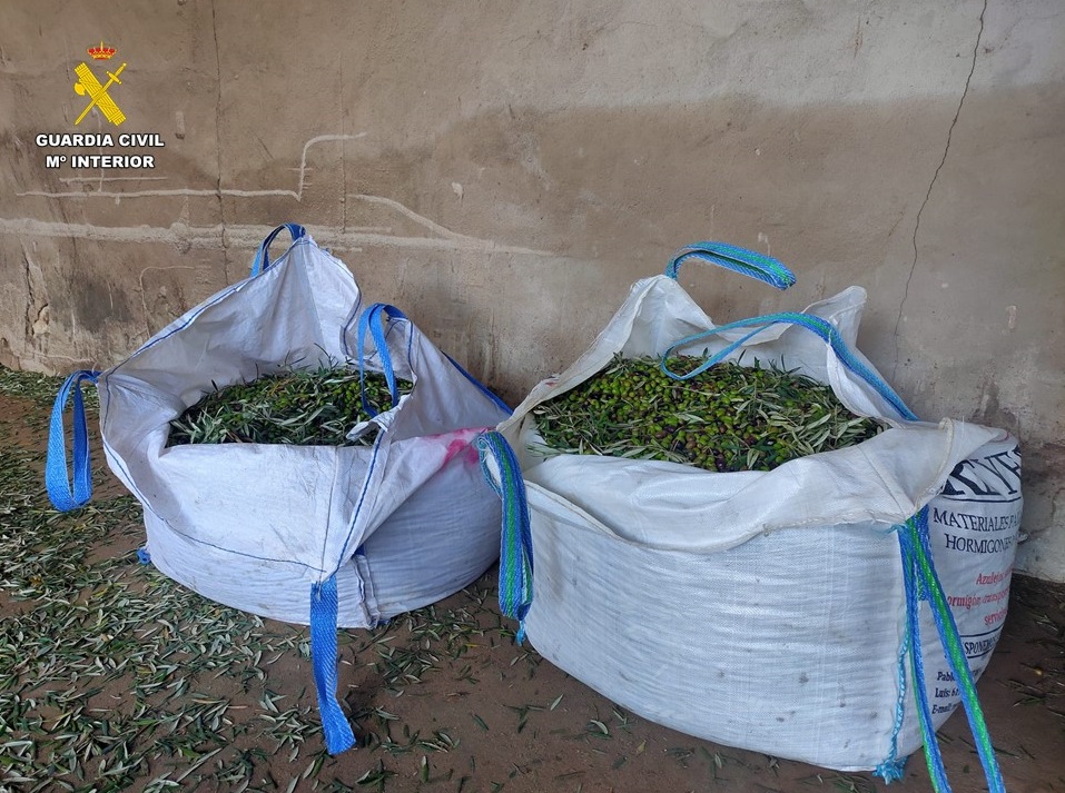 Detenidas tres personas por el robo de 1200 kilos de aceituna en Torralba de Calatrava
