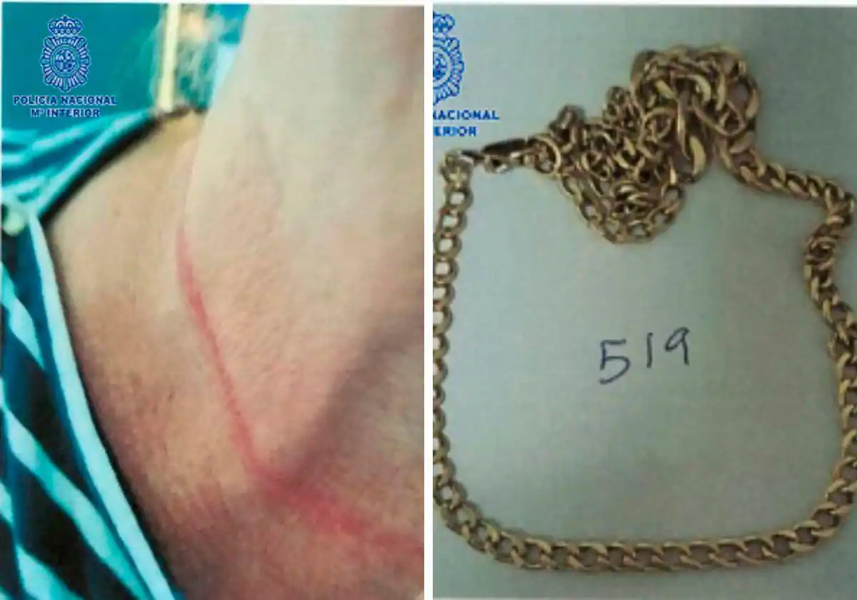 Detenido por robar joyas 'al tirón' a dos mujeres mayores en Logroño