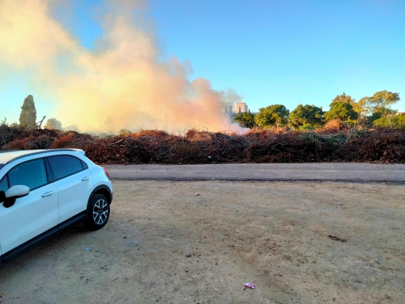 El incendio en la parcela de Los Bermejales. - Viva