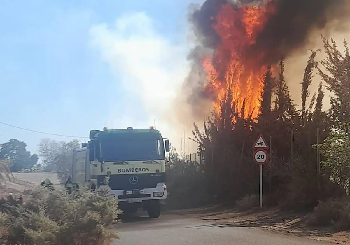 Arde la zona de pastos en el hipódromo de Santa Lucía