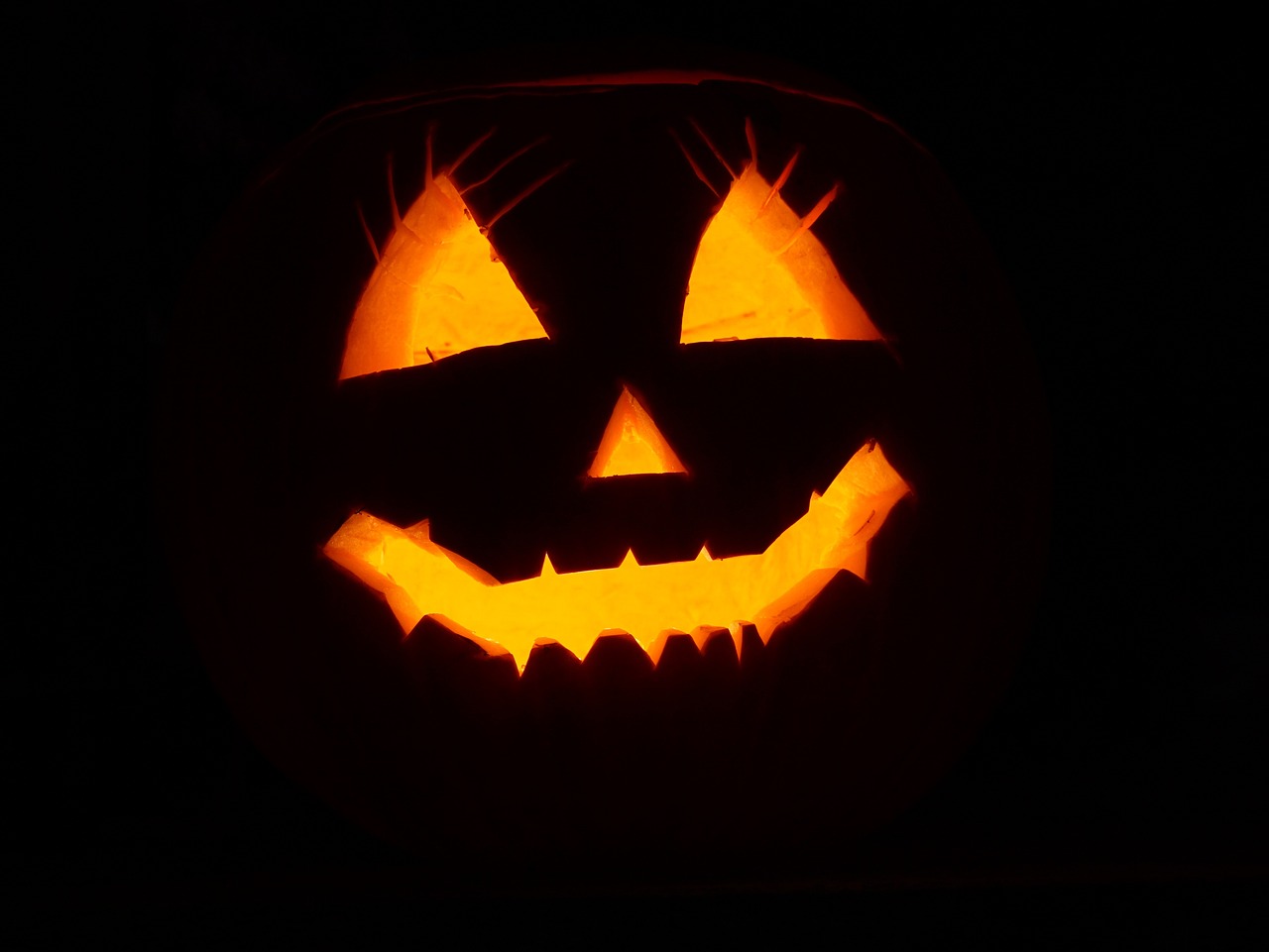 ¿Truco o trato? ¡Peleas a tutiplén en Halloween Vitoria!