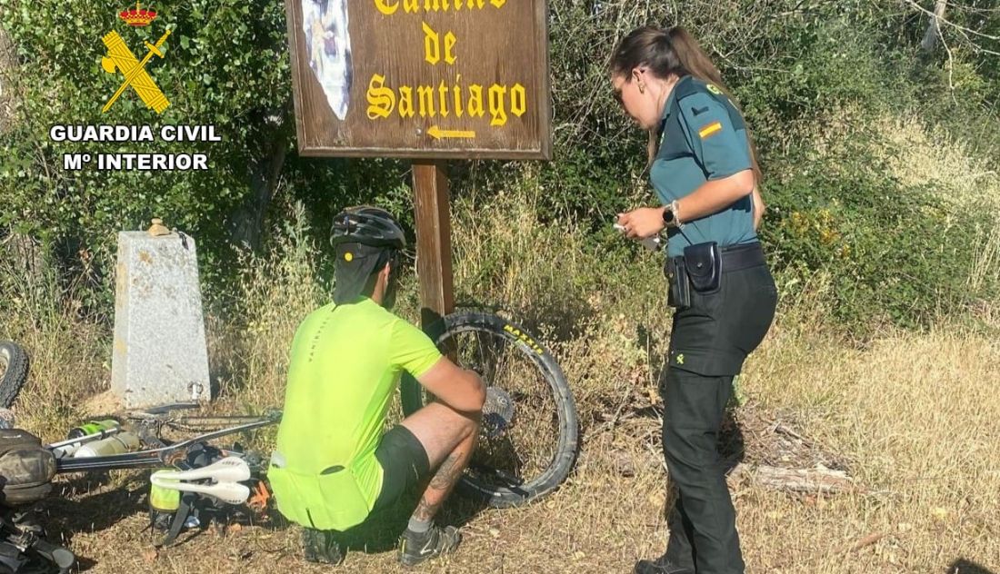 Nuevo ataque de perros en Zamora: hay un ciclista herido