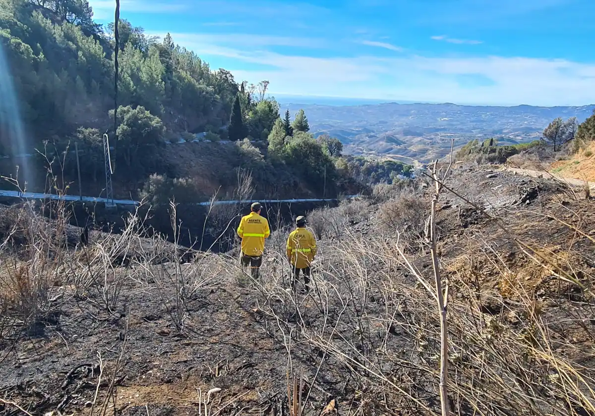 Sucesos Málaga: Controlado el incendio de Mijas tras calcinar unas 250 hectáreas de terreno