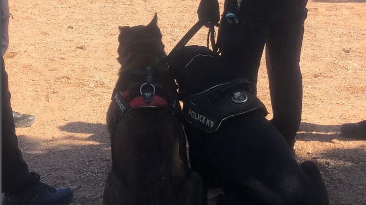Lepe: varias intervenciones de estupefacientes con la unidad canina a las puertas de institutos