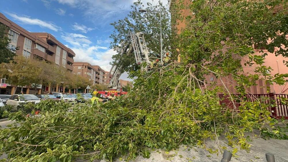 Toledo registra el mayor número de incidencias por 'Domingos'