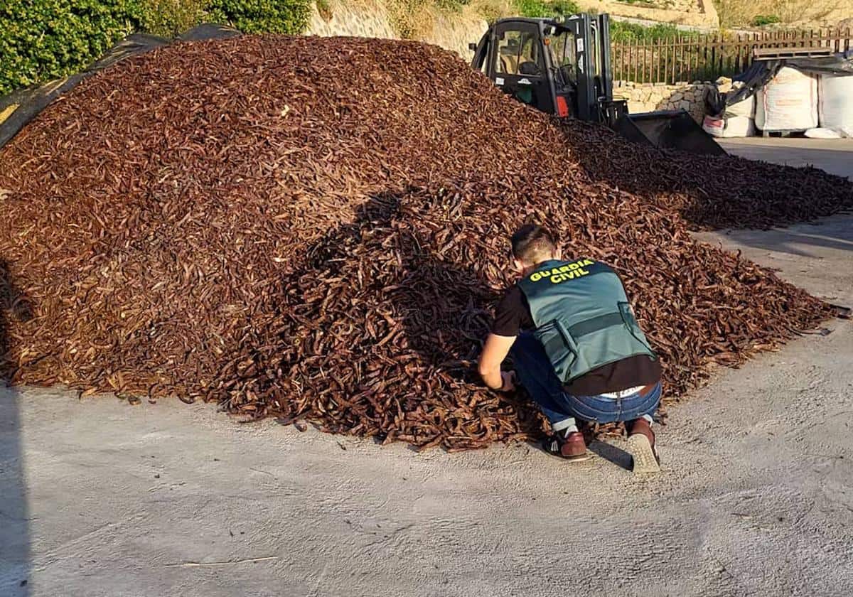 La ofensiva de la Guardia Civil contra los robos agrícolas en Alicante da sus frutos