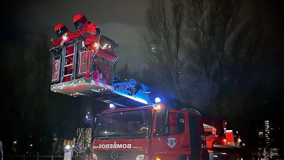 Los Bomberos de León retirando con precaución el nido de avispa asiática en un parque de León.