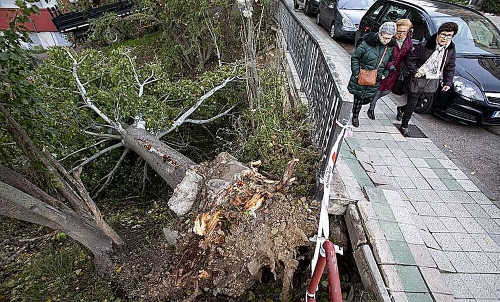 La borrasca Domingos causa un centenar de incidentes