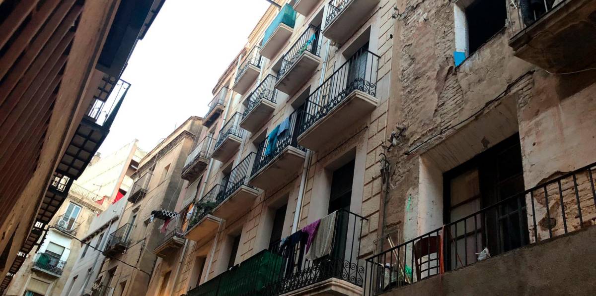 El matamoscas que pudo acabar con la vida de dos personas en Tortosa