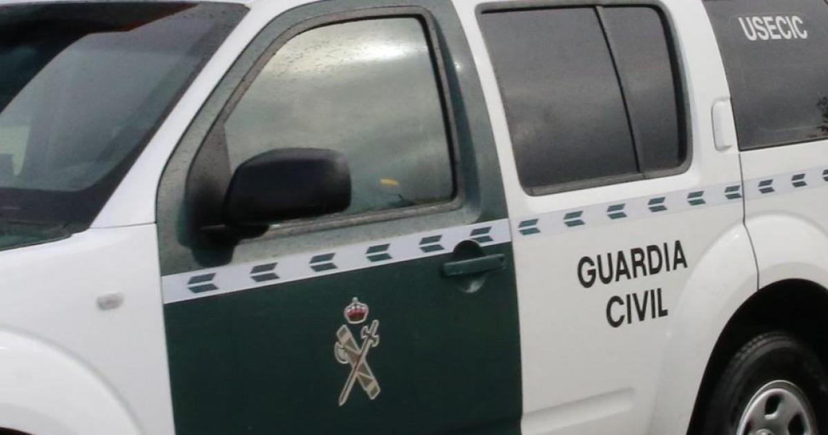 Una mujer que estaba con su bebé, atacada por un perro de raza peligrosa en Pontevedra