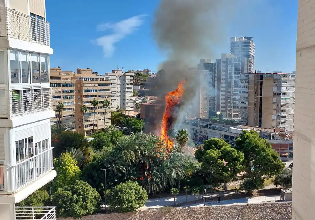 Extinguen un incendio en la playa de la Albufereta