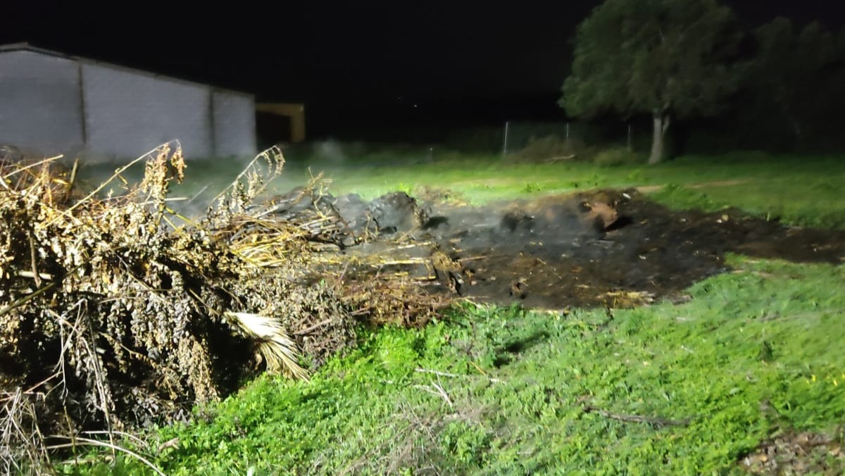 Susto en La Redondela tras un incendio de vegetación