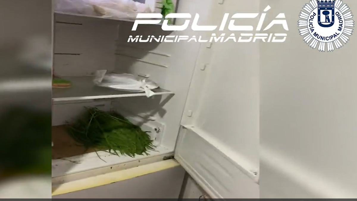MADRID/ Más de 6.000 kilos de comida en pésimas condiciones intervenidos en Usera