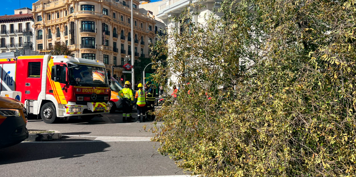 Muere en Madrid una joven de 23 años al caerle encima un árbol derribado por el viento