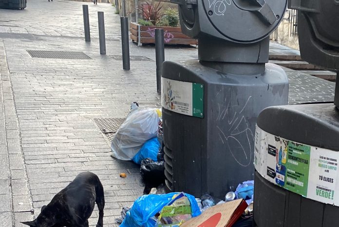 "Vivo en Vitoria en un vertedero de basura" (carta)
