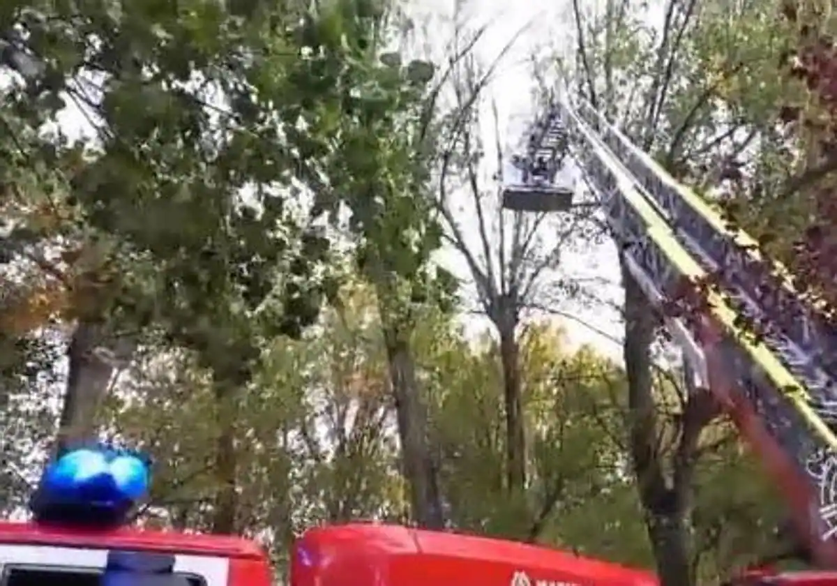 Los Bomberos intervienen en una docena de avisos en Burgos a causa del viento
