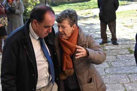 Diputación reúne al Consejo de Alcaldes - fotos
