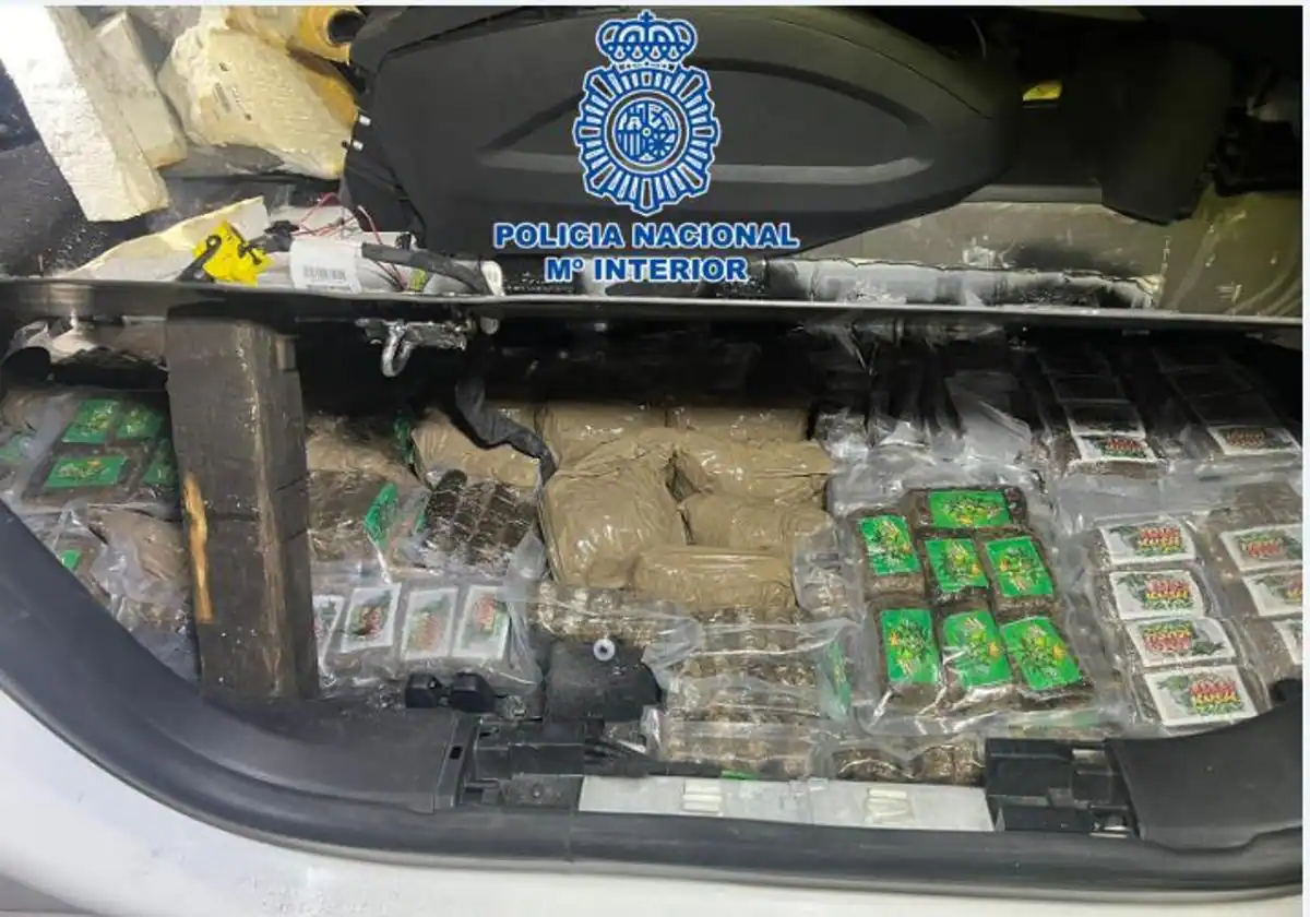 Desarticulada organización criminal dedicada al tráfico de drogas: nueve personas envían a prisión por la Policía Nacional en la operación ‘emperador’.