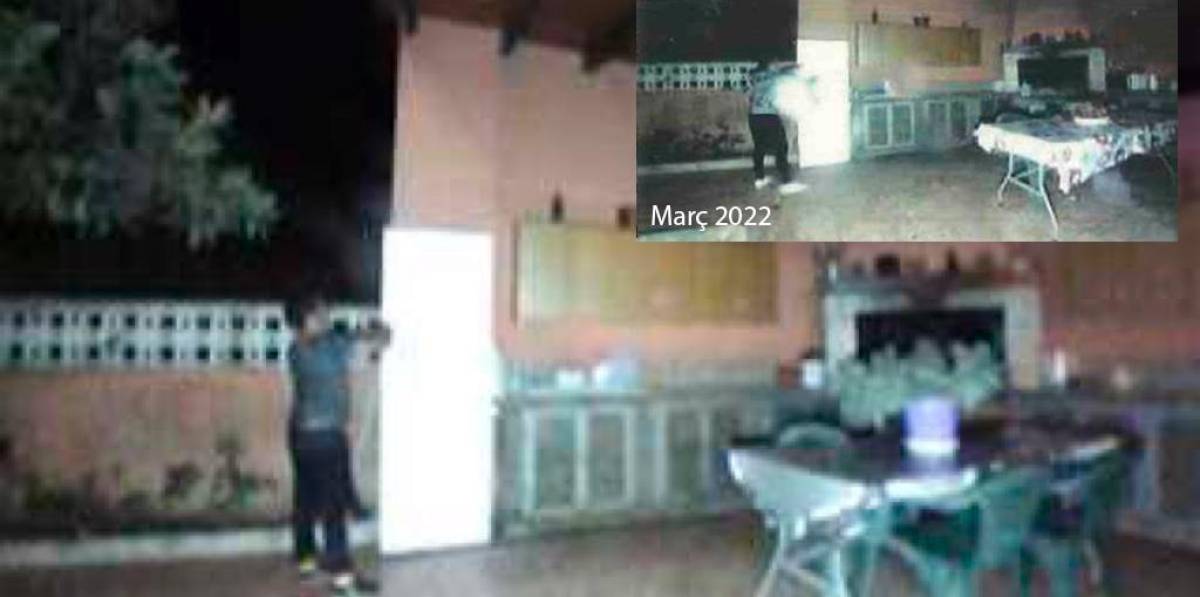 Detienen a hombre multirreincidente por robos en interior de una vivienda en Santa Oliva