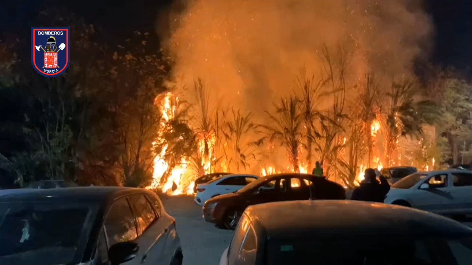 Un incendio sorprende a los murcianos en el jardín del Malecón