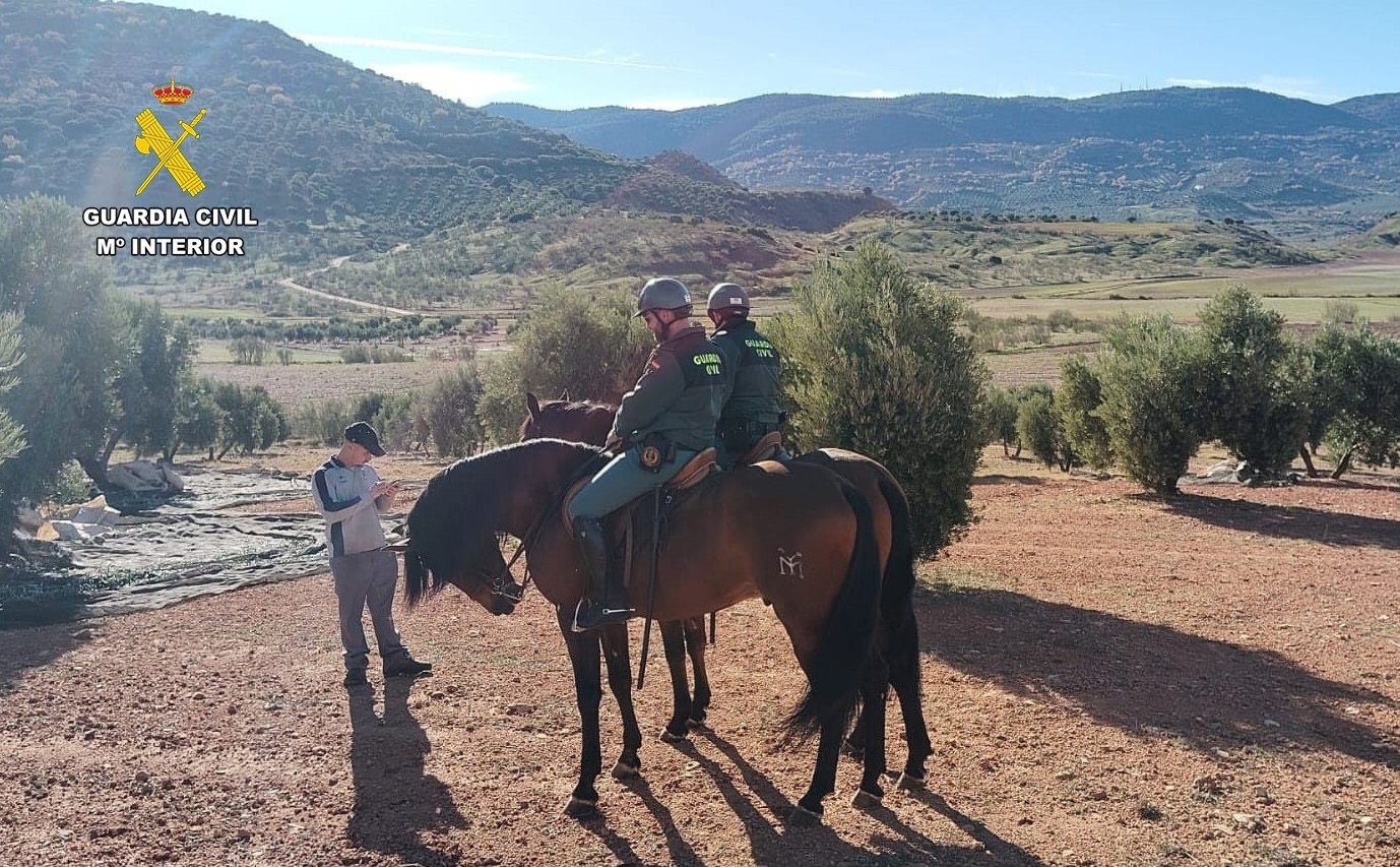 A caballo y en helicóptero para proteger los sacos de aceitunas de los ladrones en el campo